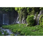 Nikon NIKKOR Z 70-180mm f/2.8 Lens (Nikon Z) - Image 9