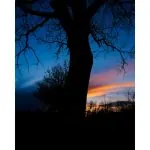 FUJIFILM X-T50 Mirrorless Camera with XC 15-45mm f/3.5-5.6 Lens (Charcoal Silver) - Image 4