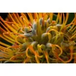 FUJIFILM X-T50 Mirrorless Camera with XC 15-45mm f/3.5-5.6 Lens (Charcoal Silver) - Image 3