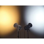 Godox Litemons LE300Bi Bi-Color LED Monolight (White) - Image 12