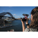 RODE VideoMic GO Camera-Mount Shotgun Microphone - Image 16