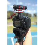 RODE VideoMic GO Camera-Mount Shotgun Microphone - Image 4