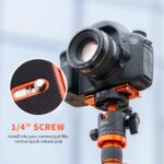 K&F Concept CA02 Aluminum Multi Quick Release Plate 2-in-1 (KF31.027V2) - Image 5