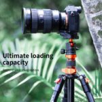 K&F Concept Camera Tripod Ball Head with Quick Release & Spirit Level (KF31.029V3) - Image 9
