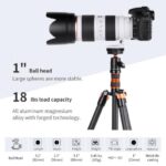 K&F Concept Camera Tripod Ball Head with Quick Release & Spirit Level (KF31.029V3) - Image 7