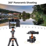 K&F Concept Camera Tripod Ball Head with Quick Release & Spirit Level (KF31.029V3) - Image 4