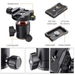 K&F Concept Camera Tripod Ball Head with Quick Release & Spirit Level (KF31.029V3) - Image 3