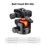 K&F Concept 36mm Metal Ball Head 360° Panoramic Quick Release 16kg Load (KF31.044V1) - Image 5