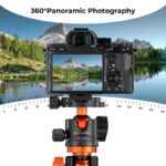 K&F Concept 36mm Metal Ball Head 360° Panoramic Quick Release 16kg Load (KF31.044V1) - Image 3