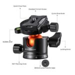 K&F Concept 36mm Metal Ball Head 360° Panoramic Quick Release 16kg Load (KF31.044V1) - Image 2