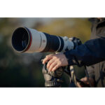 Sony FE 100-400mm f/4.5 GM OSS Lens (Sony E) - Image 15