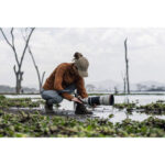 Sony FE 100-400mm f/4.5 GM OSS Lens (Sony E) - Image 12