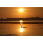 Sony FE 100-400mm f/4.5 GM OSS Lens (Sony E) - Image 4