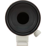 Sony FE 70-200mm f/4 Macro G OSS II Lens (Sony E) - Image 25
