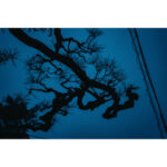 Sigma 17-40mm f/1.8 DC Art Lens (Sony E) - Image 5