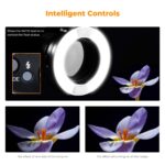 K&F Concept KF150 TTL Marco Ring Flash For Canon (KF22.005) - Image 9